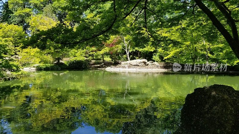 参观Fort Worth, Texas Botanic Park